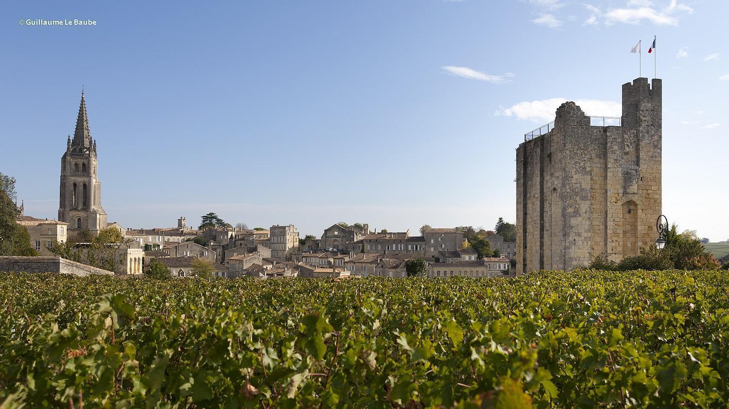 Lussac  Le Repaire Lagardere Bed & Breakfast エクステリア 写真